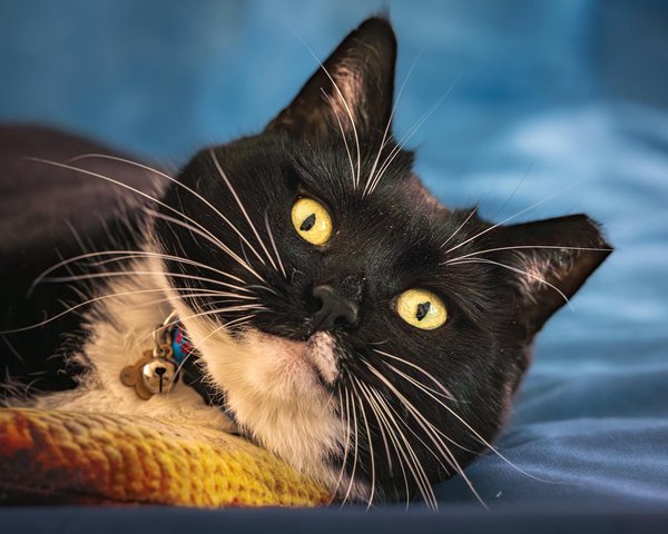 How to Create a Resilient Real Estate Investment Strategy in the Face of Natural Disasters?