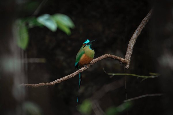 Can a Proper Alignment Check Extend the Life of Your Tires and Improve Handling?