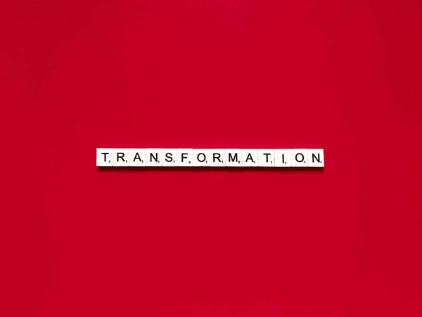 What Techniques Can Transform a Basic Beef Stroganoff into a Gourmet Experience?